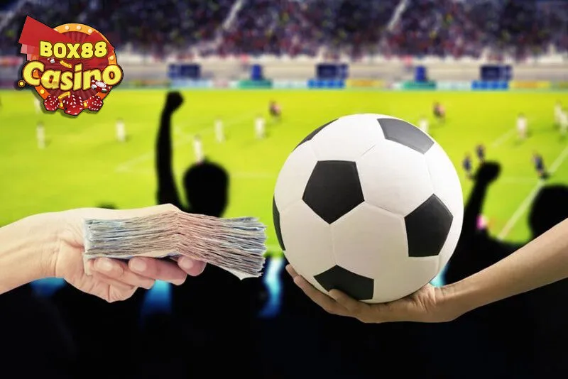 Chi tiết các bước để đăng ký Box88