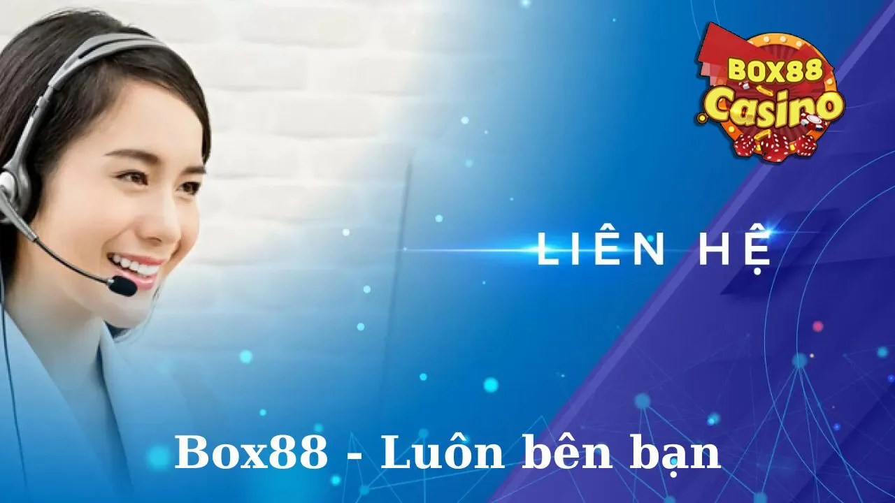 Hãy liên hệ Box88 ngay khi bạn cần