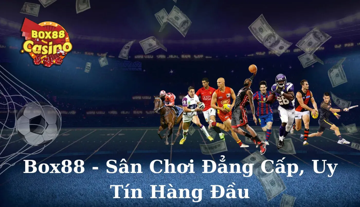 Box88 - Sân chơi uy tín, điểm đến hàng đầu cho anh em