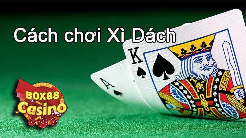 Luật chơi chi tiết theo quy tắc quốc tế